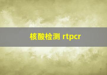 核酸检测 rtpcr